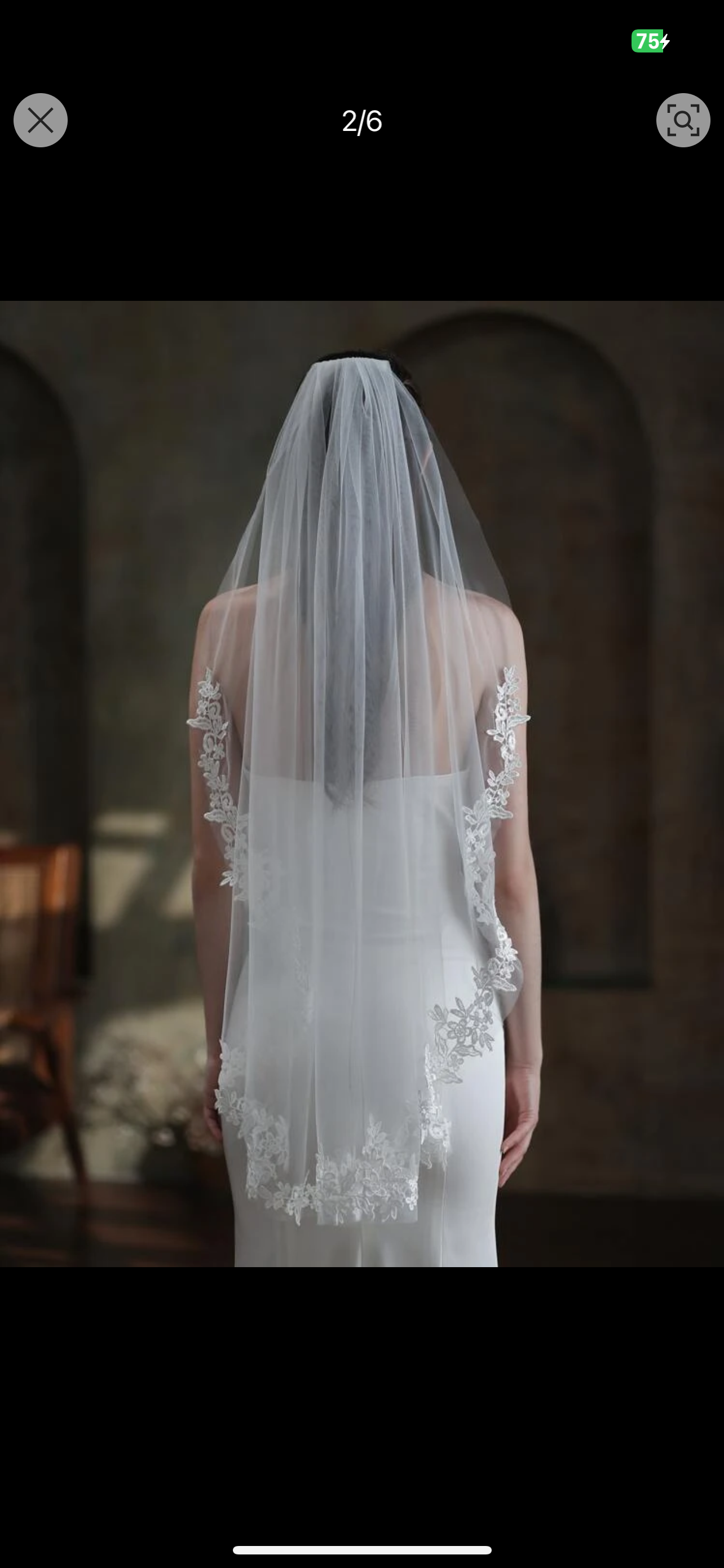 Bridal veil